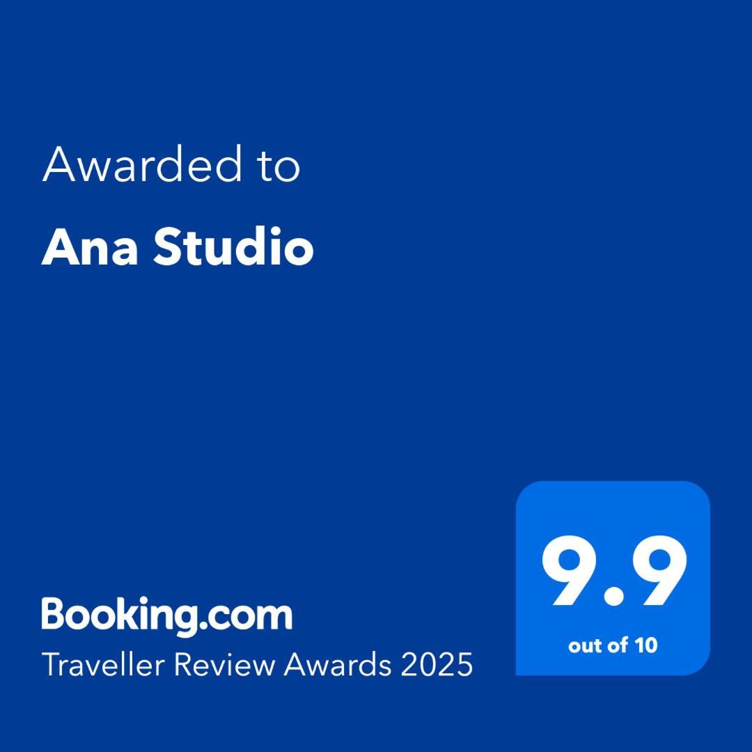 Ana Studio Хунедоара Екстериор снимка